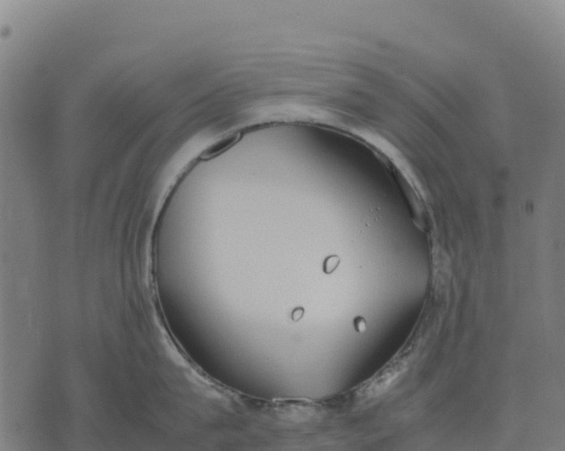 X0000070380815200606231711