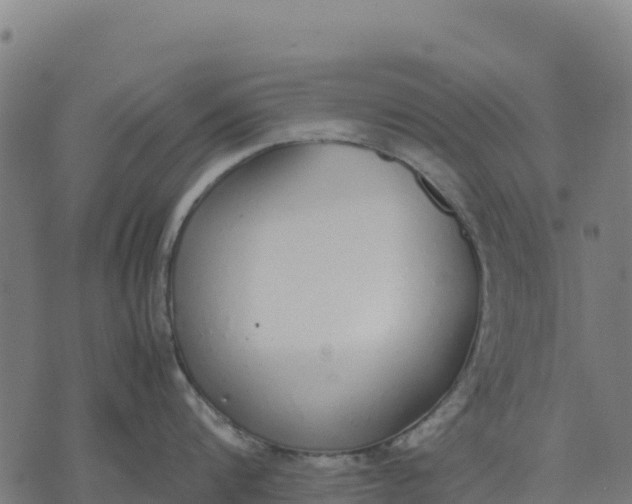 X0000070380816200606231711