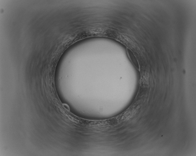 X0000070380817200606231710