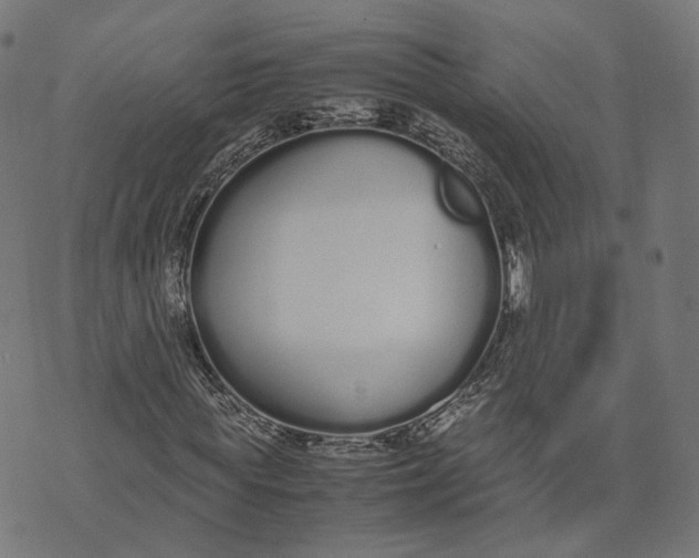 X0000070380819200606231710