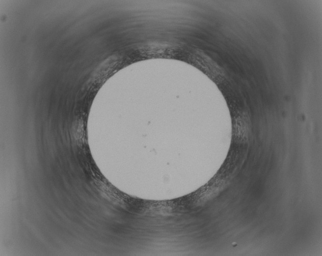 X0000070380820200606231710