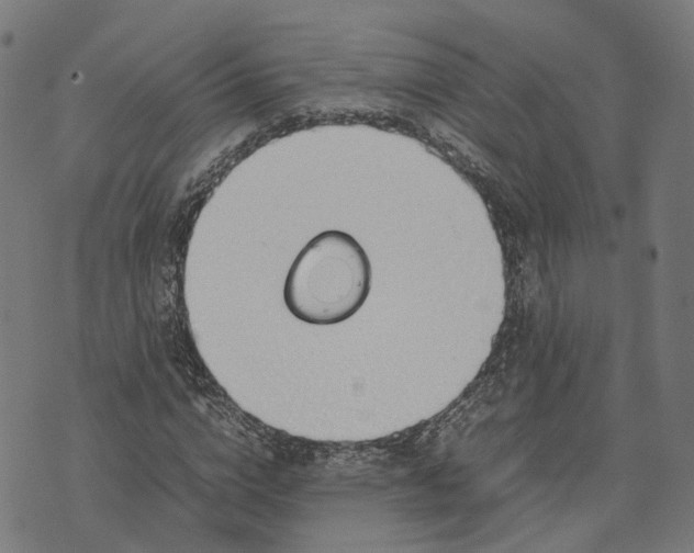 X0000070380824200606231710