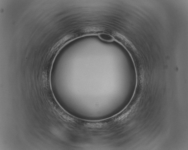 X0000070380825200606231710