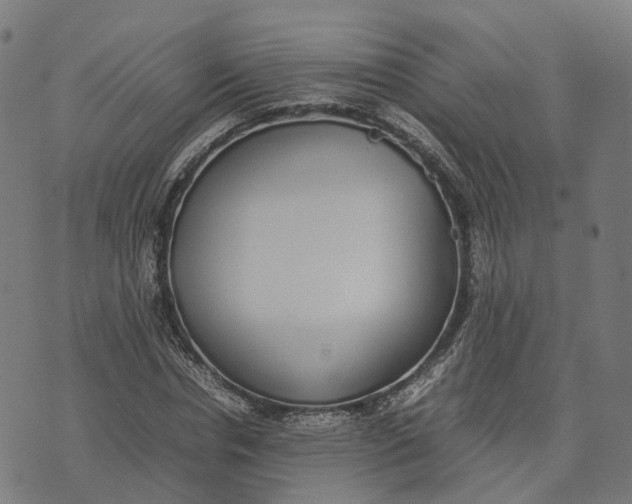 X0000070380826200606231710