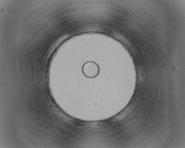 X0000070380828200606231710