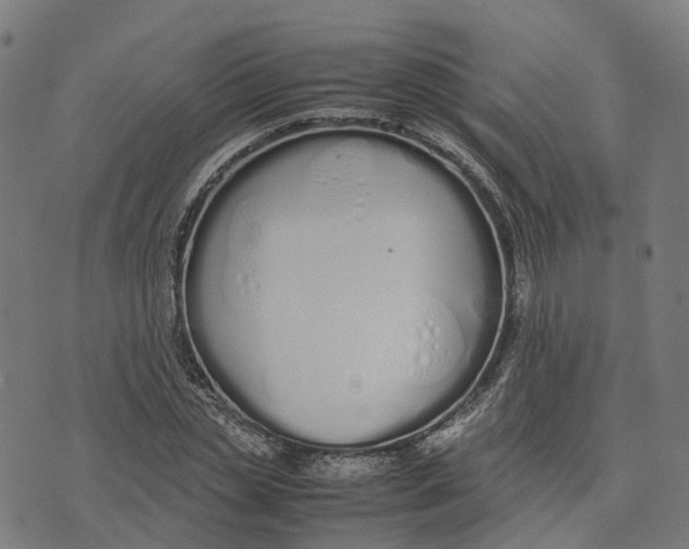 X0000070380829200606231710