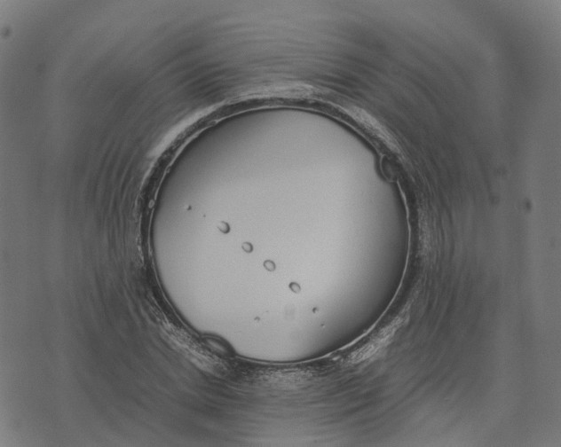 X0000070380830200606231710