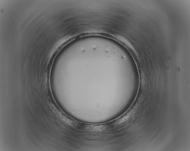 X0000070380831200606231710