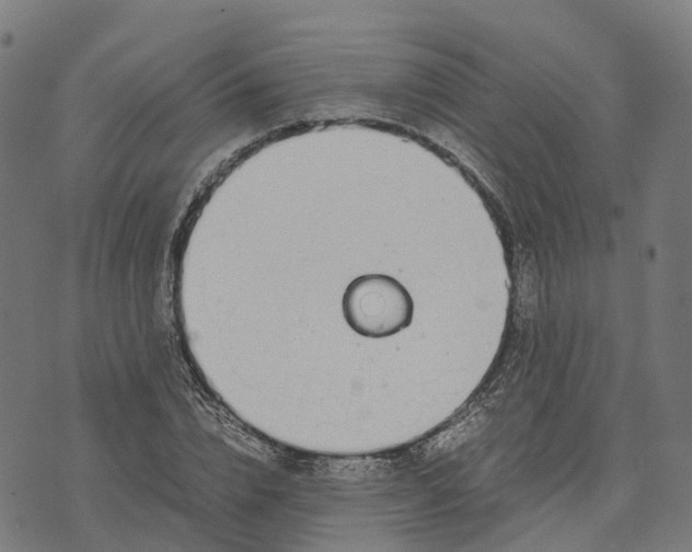 X0000070380832200606231710