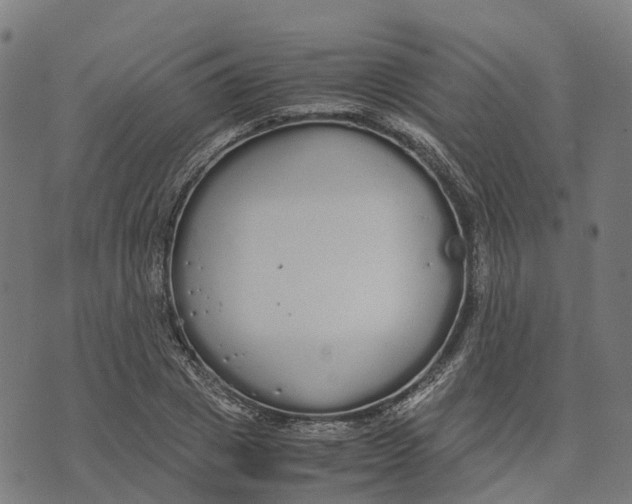 X0000070380833200606231710