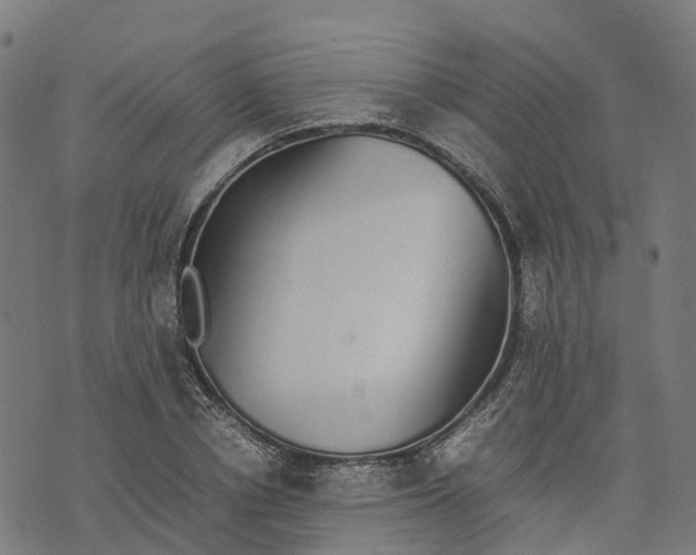 X0000070380834200606231710