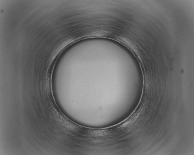 X0000070380835200606231710