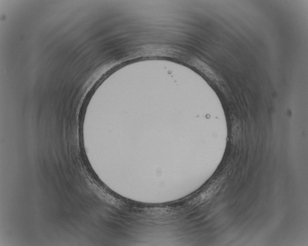 X0000070380836200606231710