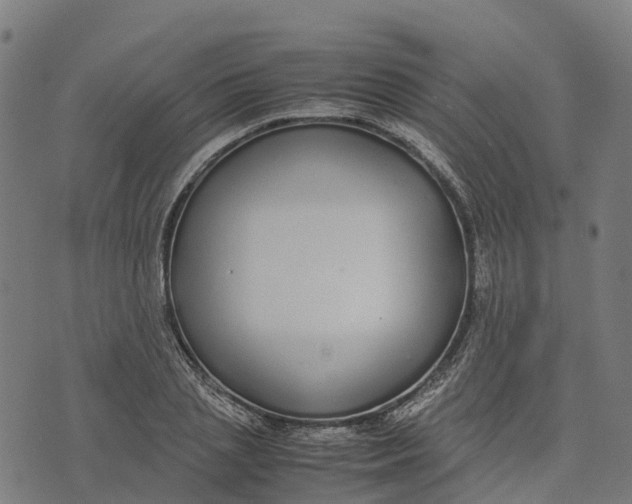 X0000070380837200606231710