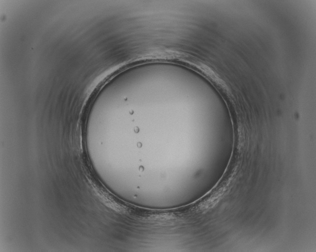 X0000070380838200606231710