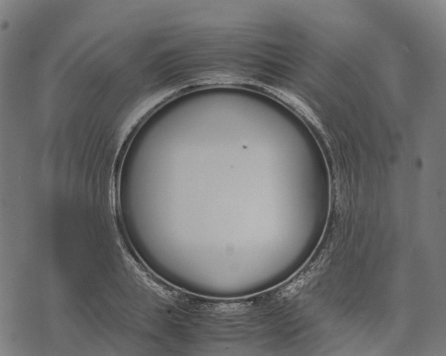 X0000070380839200606231710