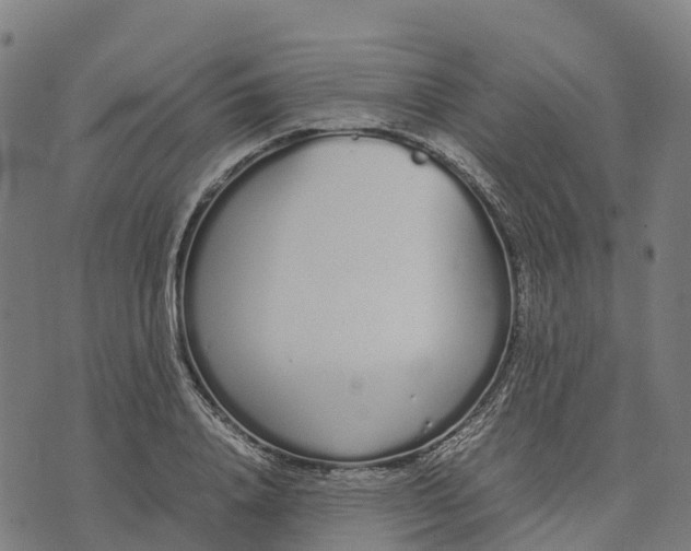 X0000070380840200606231710