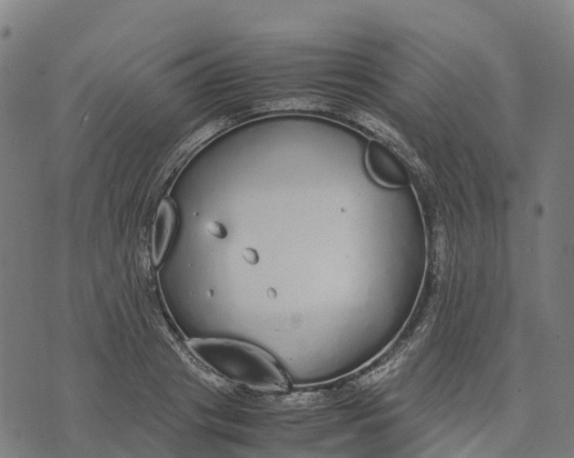 X0000070380841200606231710