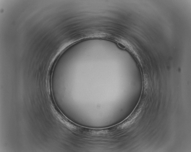 X0000070380843200606231710