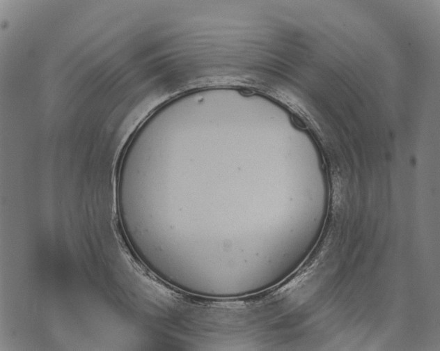 X0000070380844200606231710