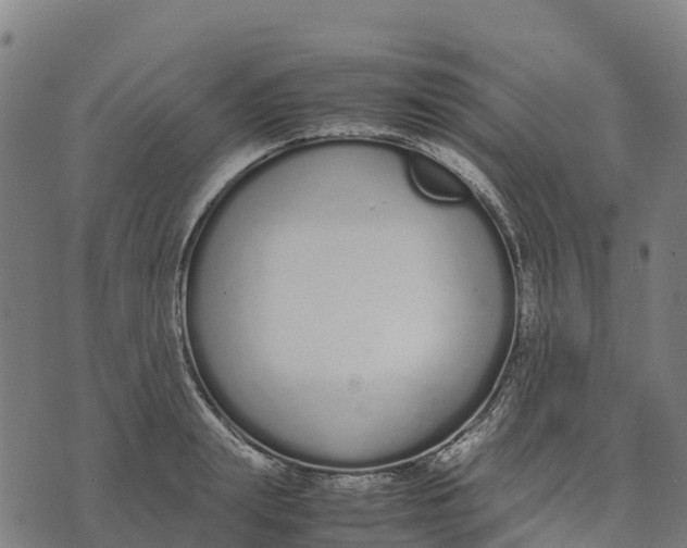 X0000070380847200606231710