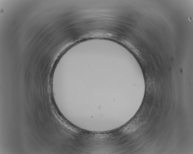 X0000070380848200606231710