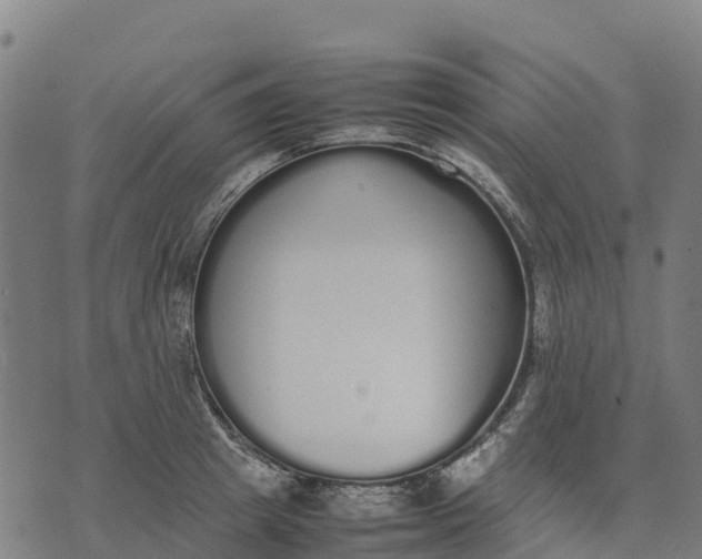 X0000070380849200606231710