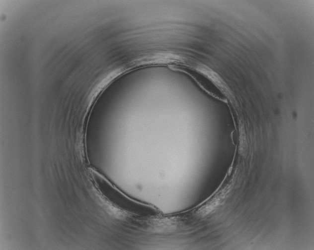 X0000070380850200606231710