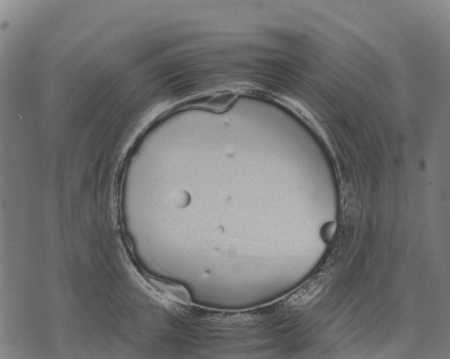 X0000070380851200606231710