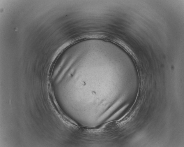 X0000070380853200606231710