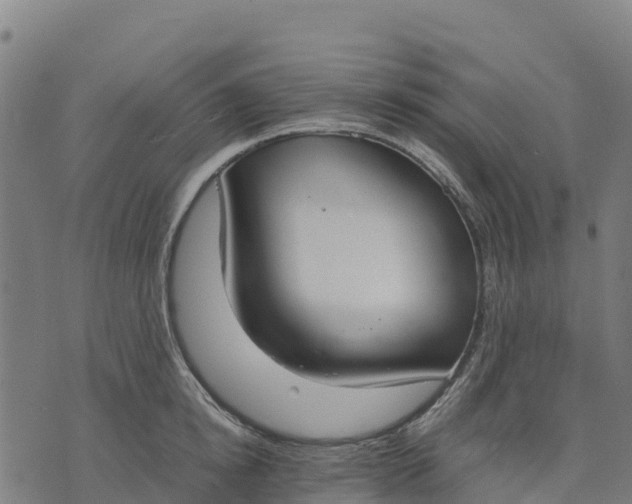 X0000070380854200606231710