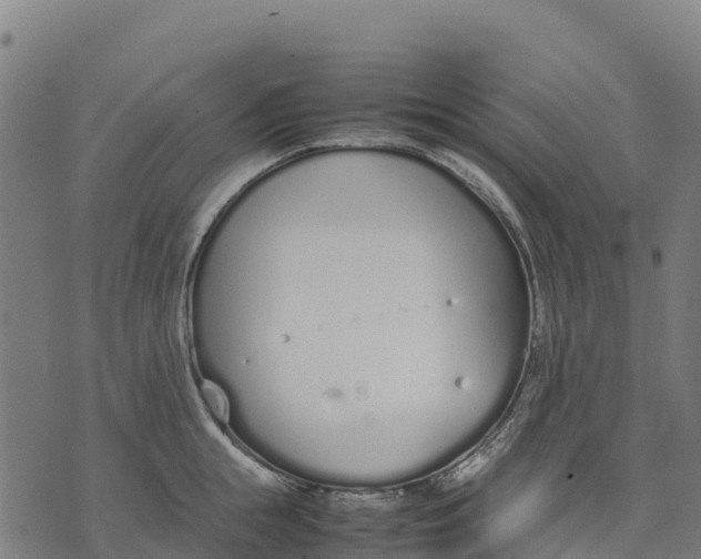 X0000070380855200606231710