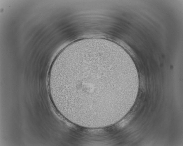 X0000070380856200606231710