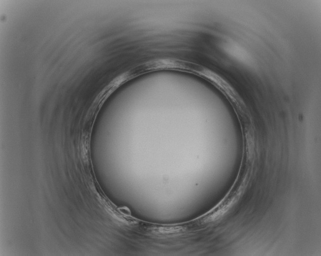 X0000070380857200606231710