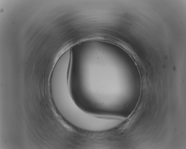 X0000070380858200606231710