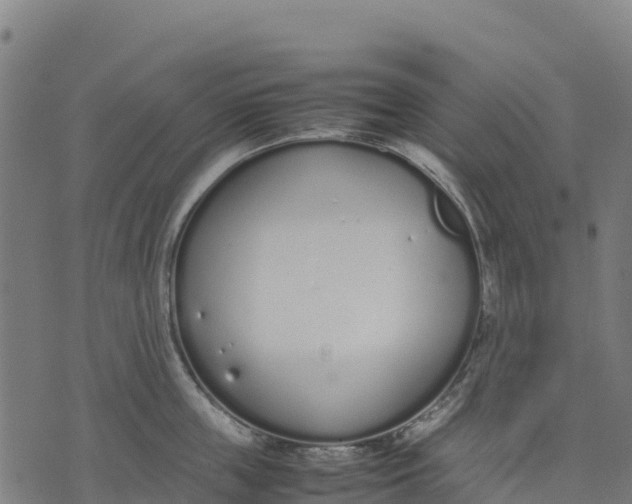 X0000070380859200606231710