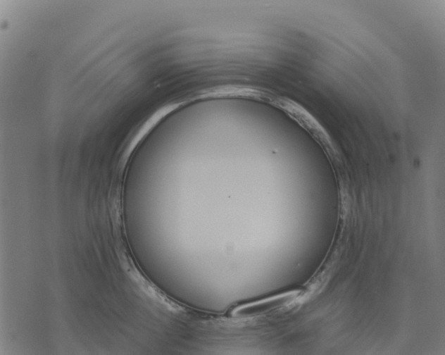 X0000070380860200606231710