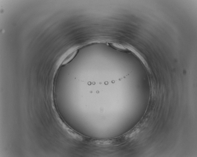 X0000070380861200606231710