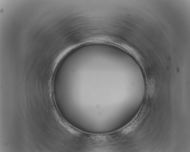 X0000070380862200606231711