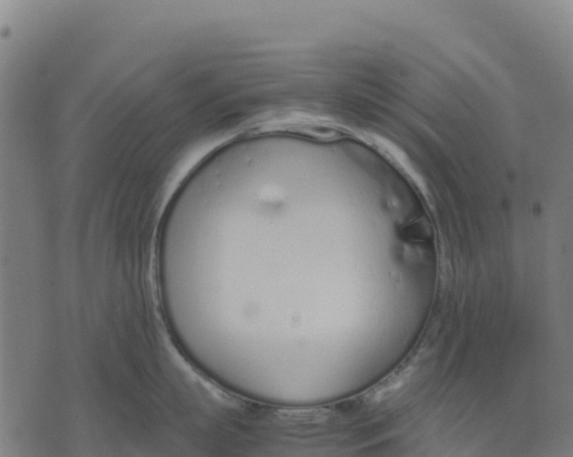 X0000070380863200606231711