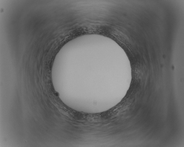 X0000070380865200606231710