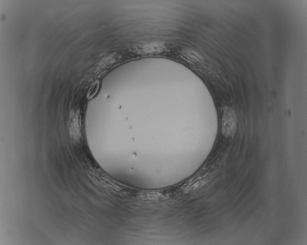 X0000070380866200606231710