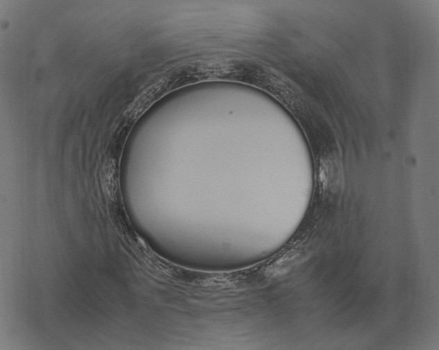 X0000070380867200606231710