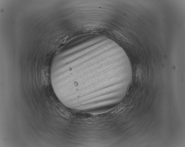 X0000070380868200606231710