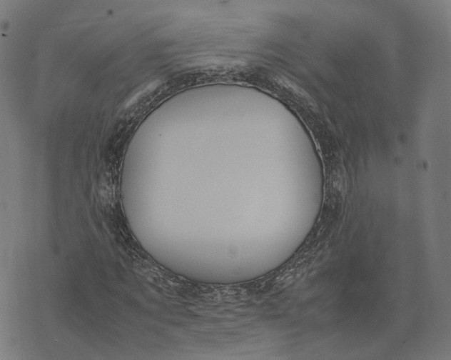 X0000070380869200606231710