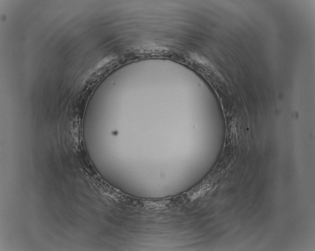 X0000070380870200606231710