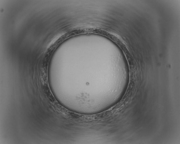 X0000070380871200606231710