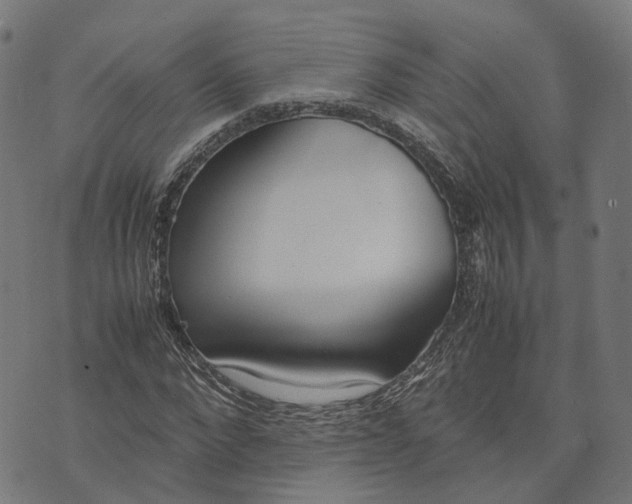 X0000070380872200606231710