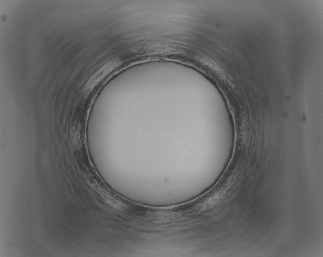 X0000070380873200606231710