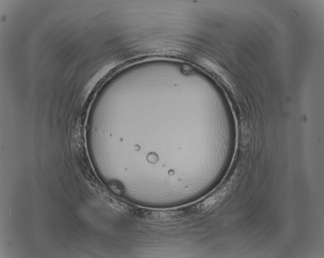 X0000070380875200606231710